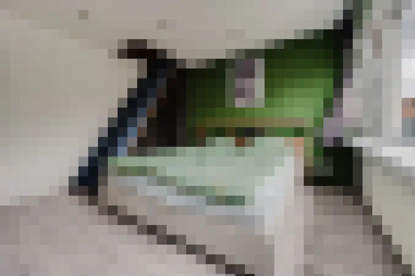Zwaluwstraat 5 Spijkenisse thumbnail 26