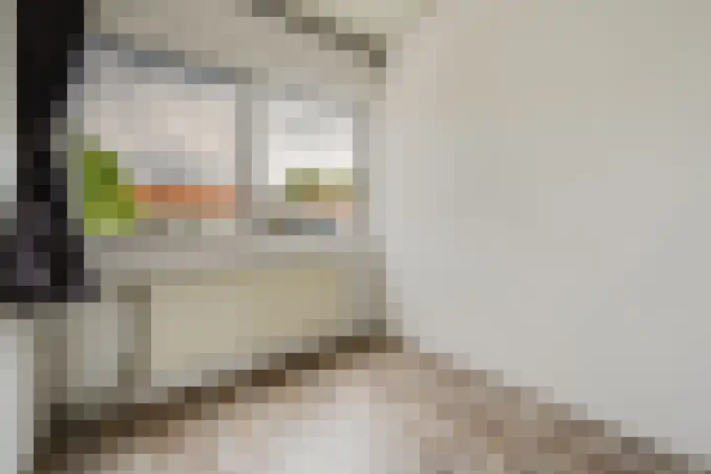 Zwaluwstraat 5 Spijkenisse thumbnail 29