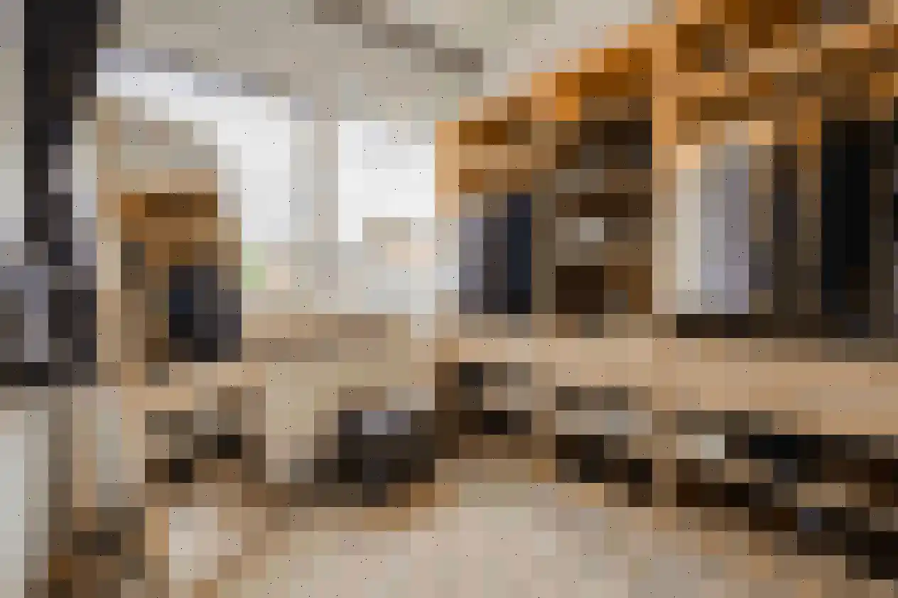 Zwaluwstraat 5 Spijkenisse thumbnail 30