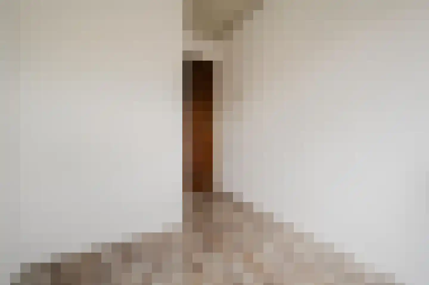 Zwaluwstraat 5 Spijkenisse thumbnail 31
