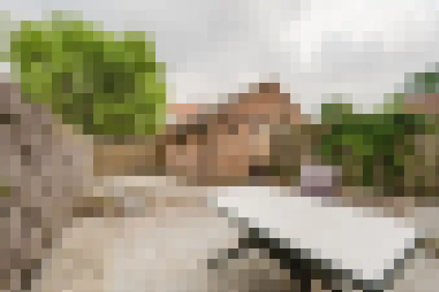 Zwaluwstraat 5 Spijkenisse thumbnail 5