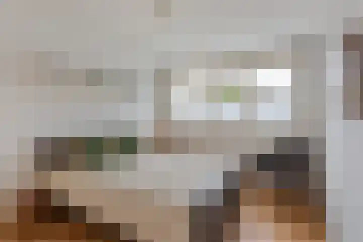 Zwaluwstraat 52 de Lutte thumbnail 14