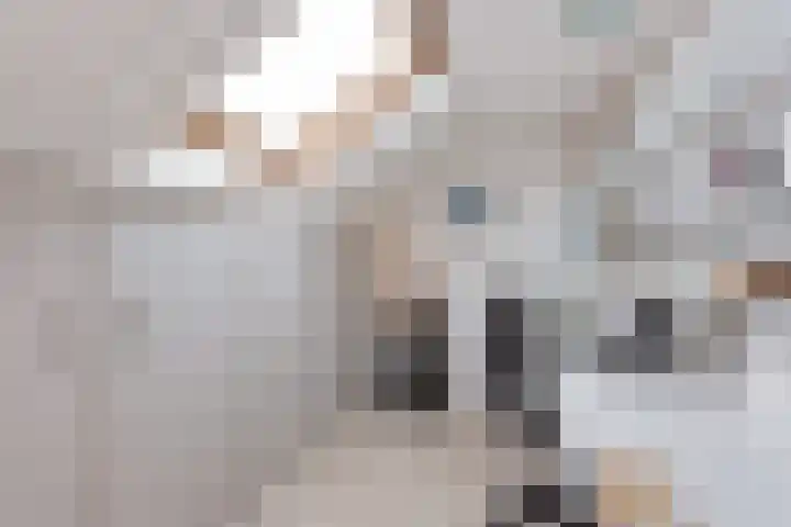 Zwaluwstraat 52 de Lutte thumbnail 17