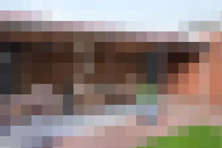 Zwaluwstraat 52 de Lutte thumbnail 20