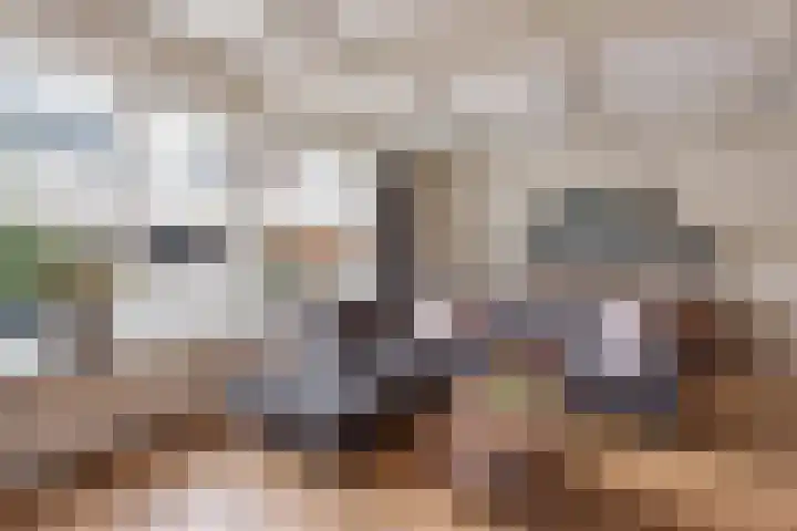 Zwaluwstraat 52 de Lutte thumbnail 6