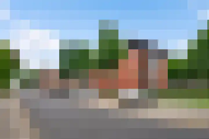 Zwaluwstraat 55 Horst thumbnail 6