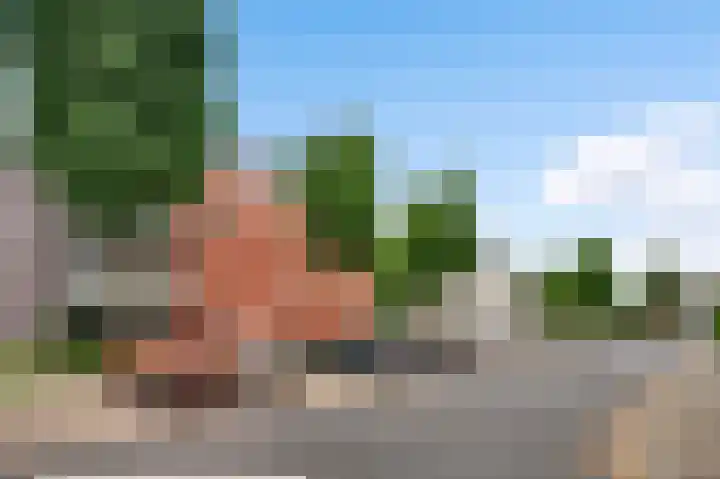 Zwaluwstraat 55 Horst thumbnail 7