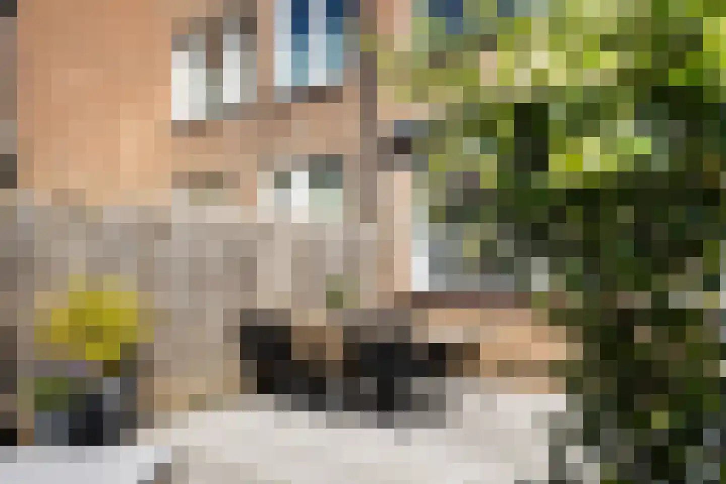 Zwaluwstraat 56 Ermelo thumbnail 34