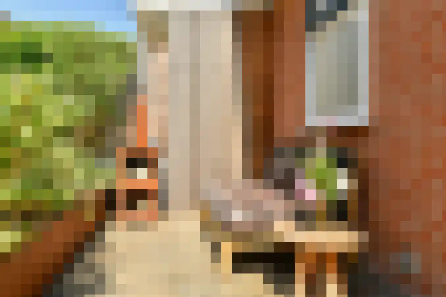 Zwaluwstraat 6 Badhoevedorp thumbnail 29