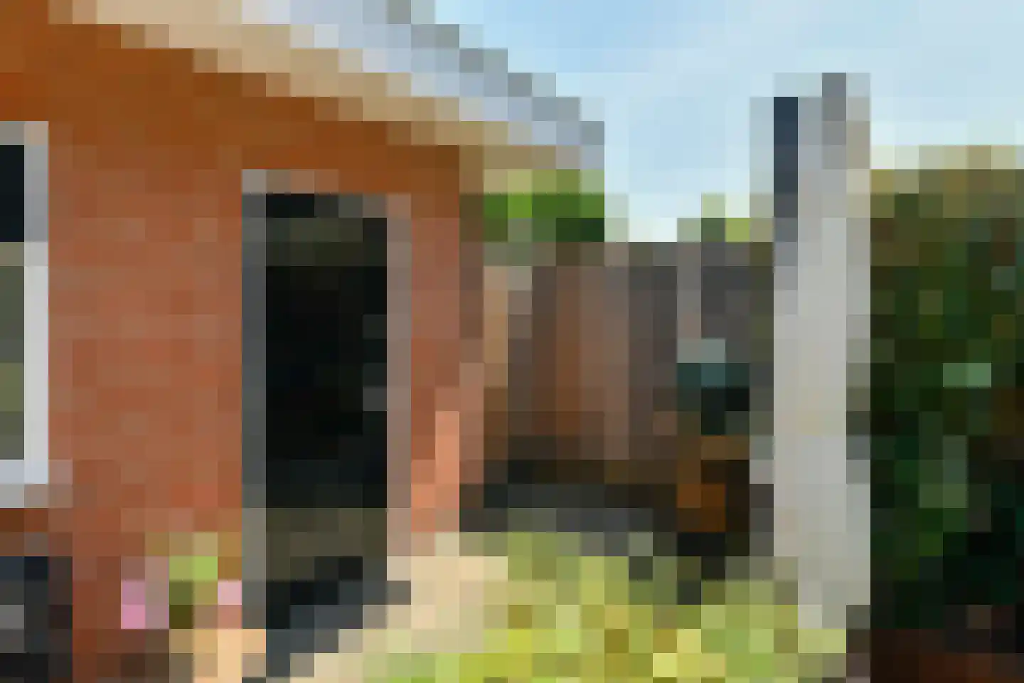 Zwaluwstraat 6 Badhoevedorp thumbnail 30