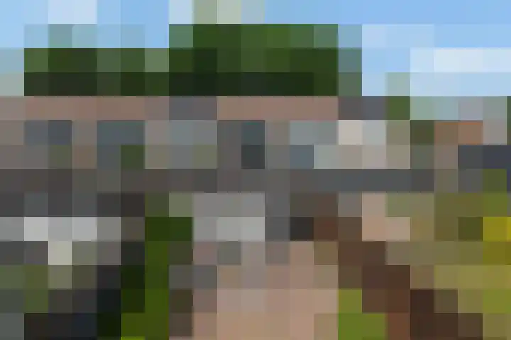 Zwaluwstraat 6 Vaassen thumbnail 4