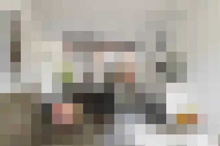 Zwaluwstraat 6 Vaassen thumbnail 8