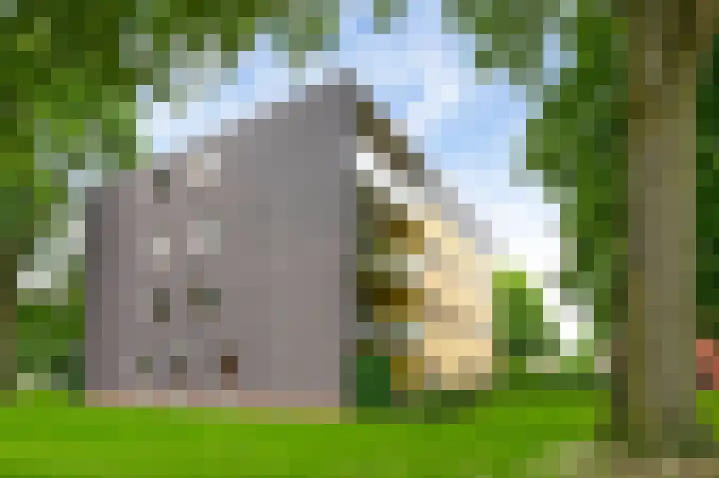 Zwaluwstraat 61 Horst thumbnail 10