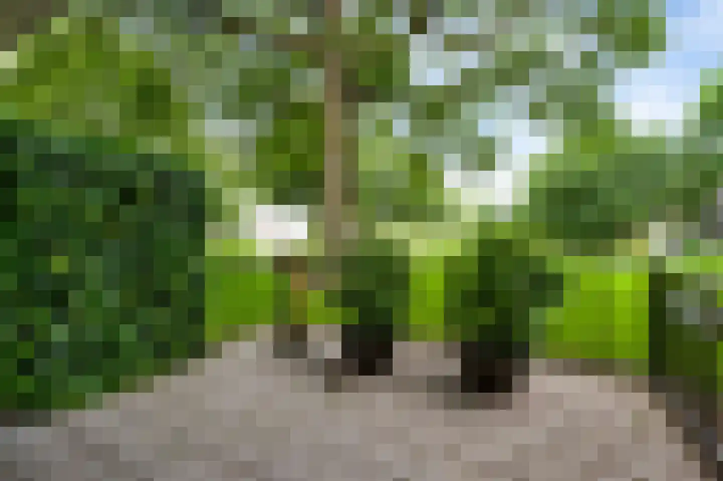 Zwaluwstraat 61 Horst thumbnail 27