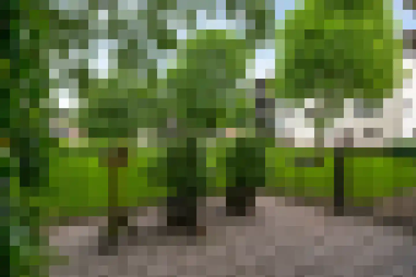 Zwaluwstraat 61 Horst thumbnail 28
