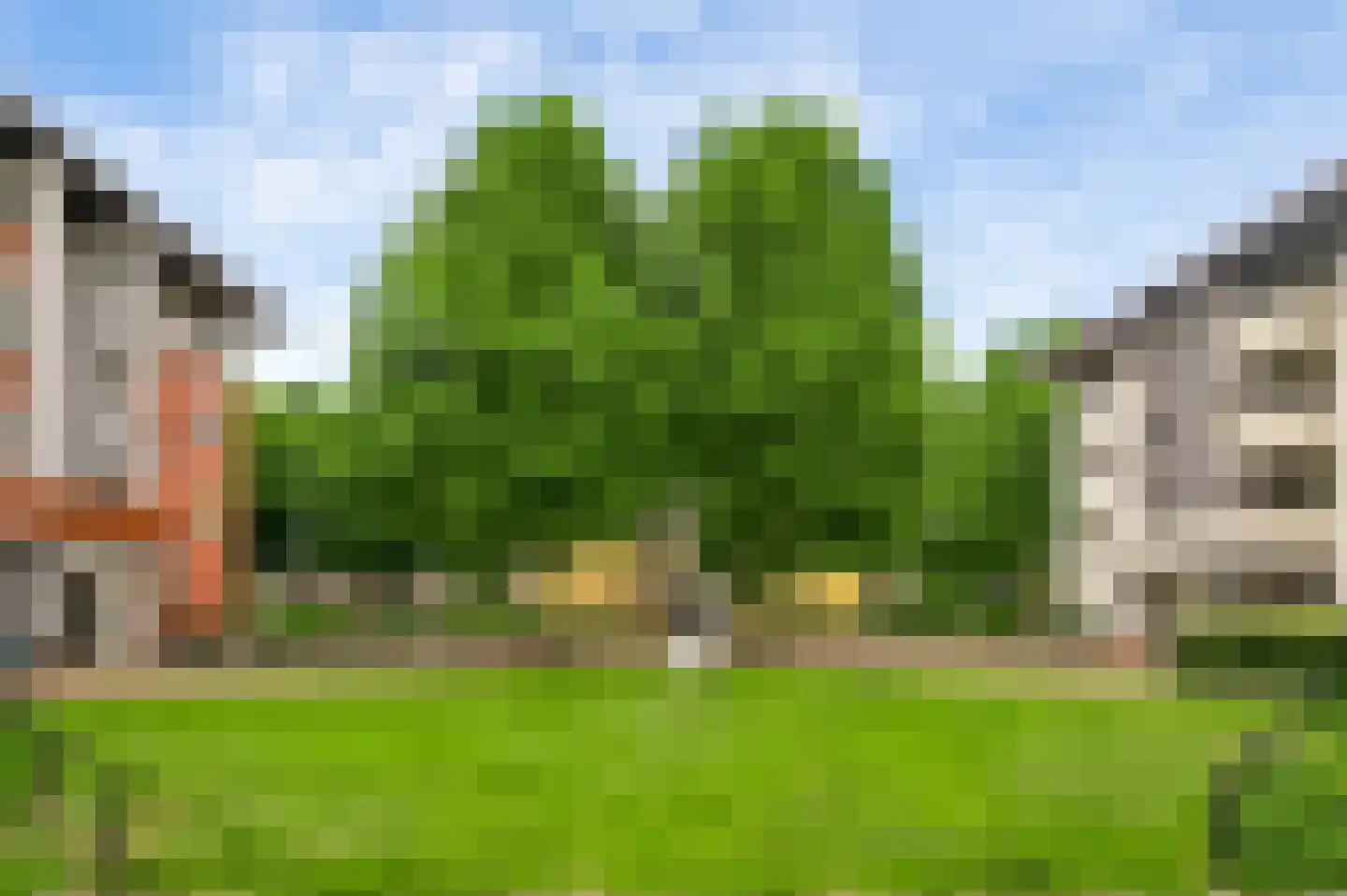 Zwaluwstraat 61 Horst thumbnail 6