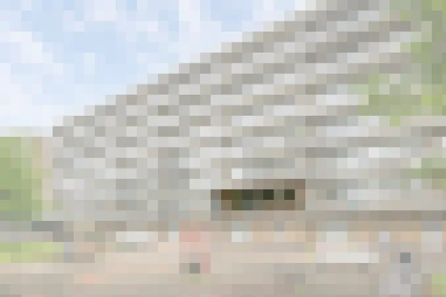 Zwaluwstraat 62 Maassluis thumbnail 5