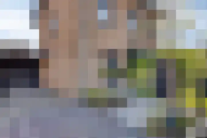Zwaluwstraat 7 Delden thumbnail 8