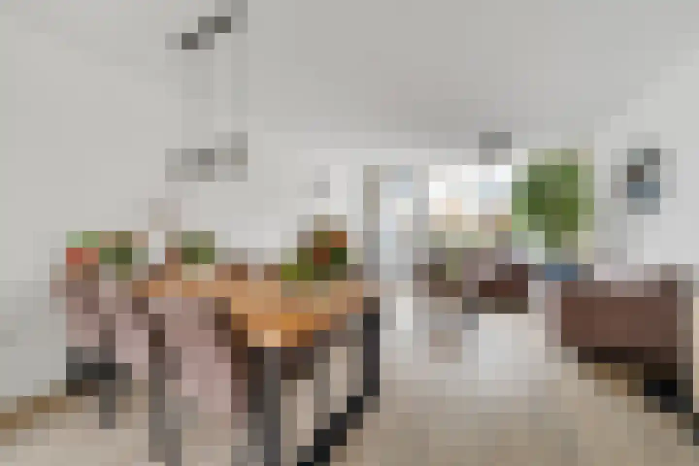 Zwaluwstraat 76 Hardenberg thumbnail 12