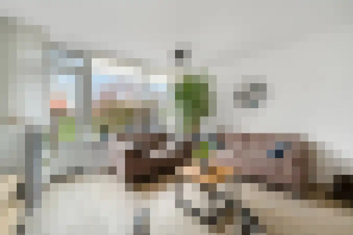 Zwaluwstraat 76 Hardenberg thumbnail 21