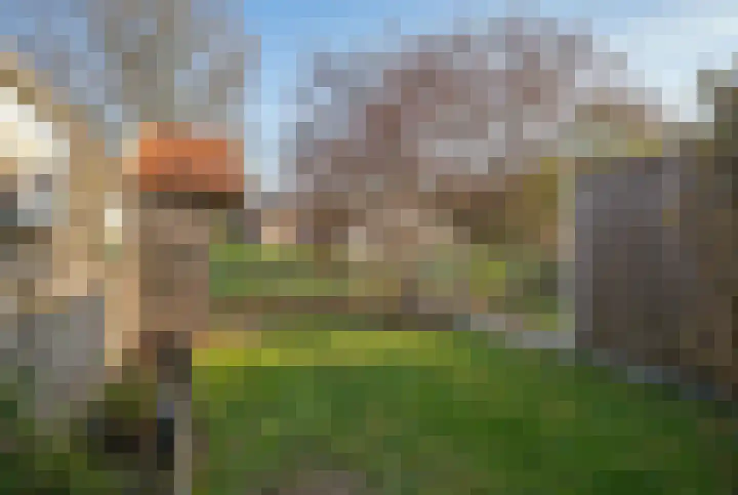 Zwaluwstraat 76 Hardenberg thumbnail 49