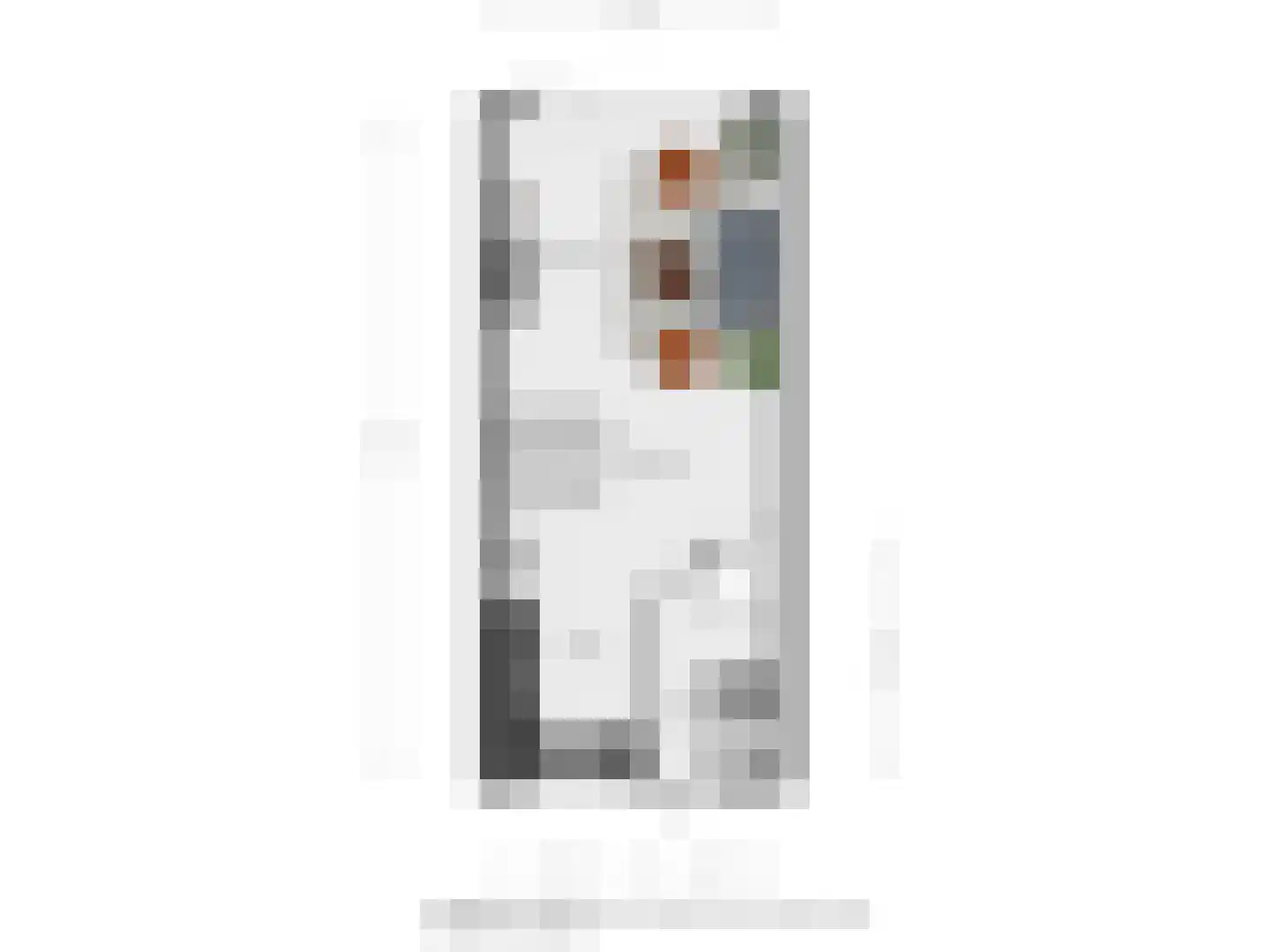 Zwaluwstraat 76 Hardenberg thumbnail 53