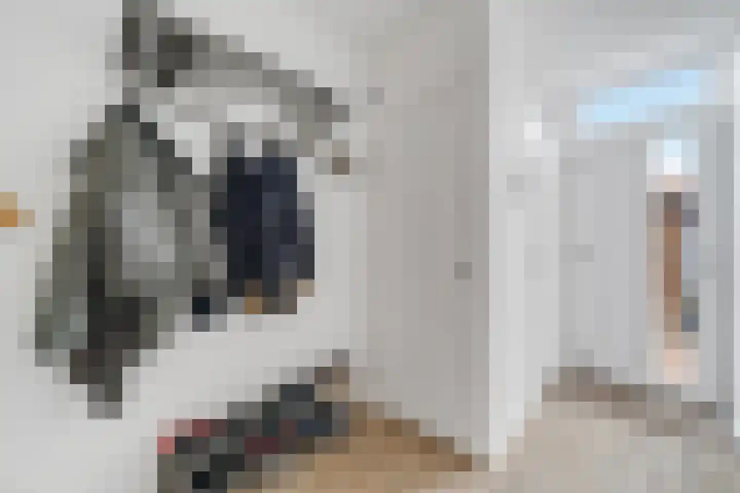 Zwaluwstraat 76 Hardenberg thumbnail 9