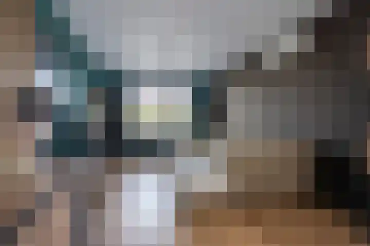 Zwaluwstraat 8 Kerkrade thumbnail 5