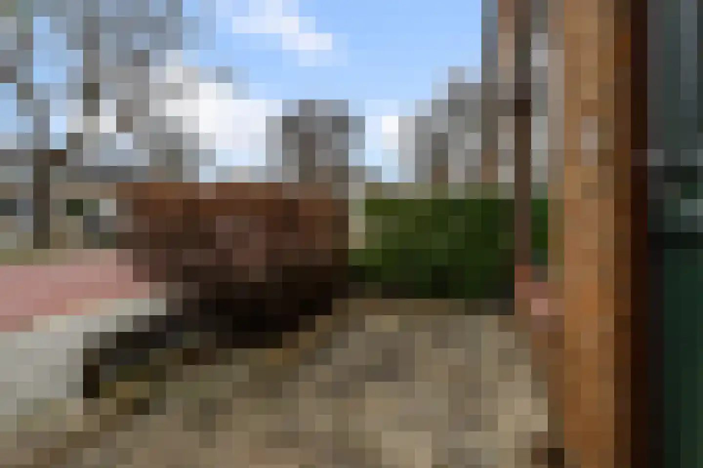 Zwaluwstraat 8 Wormerveer thumbnail 35