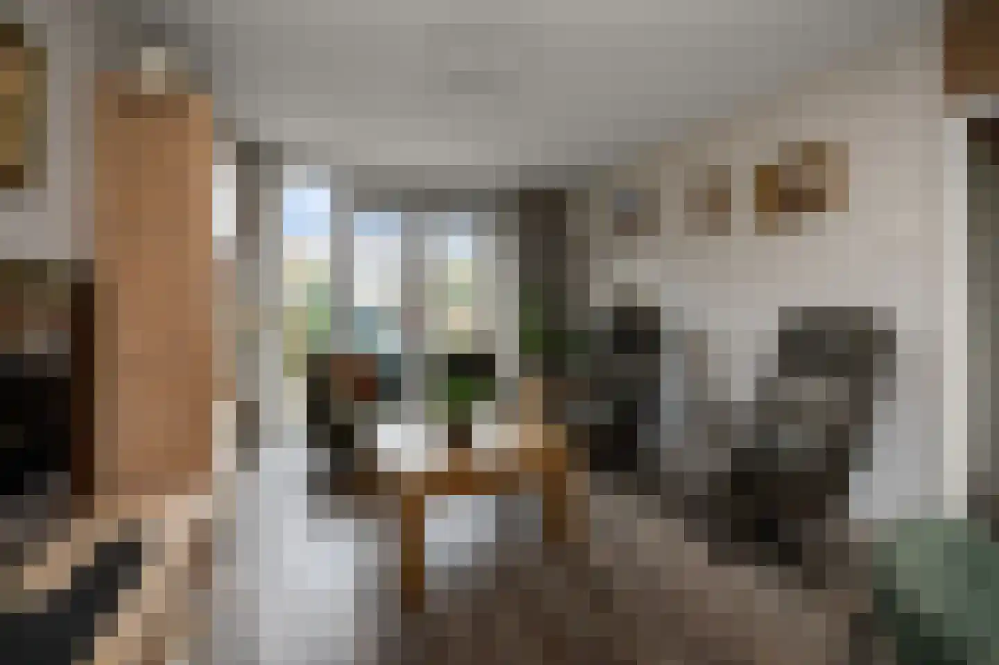 Zwaluwstraat 8 Wormerveer thumbnail 4