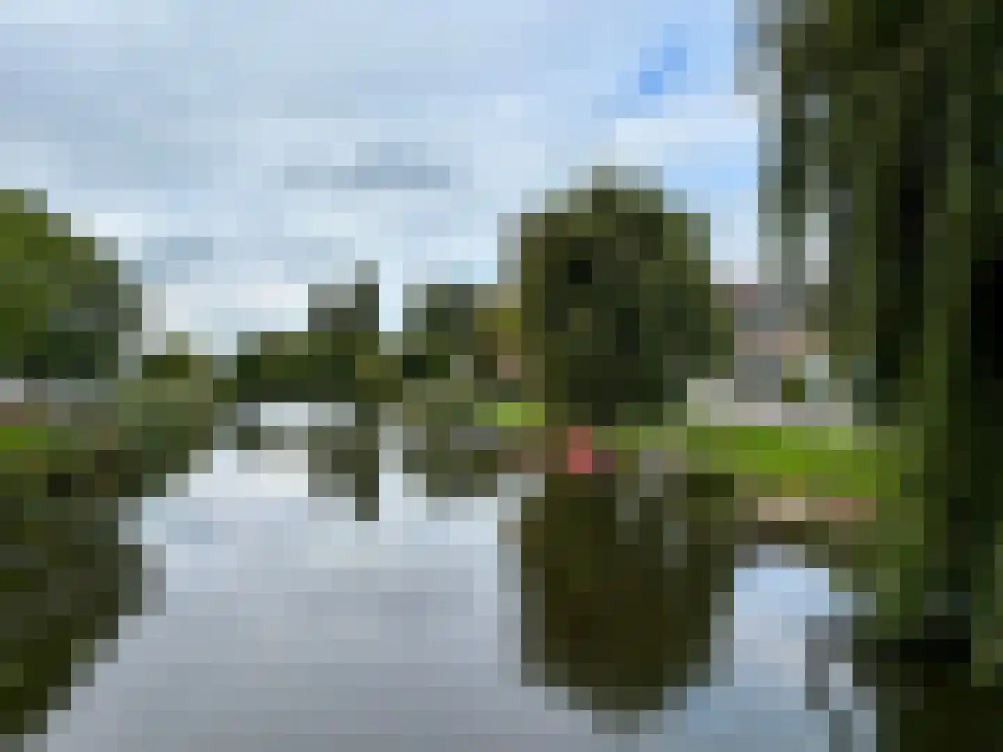 Zwaluwstraat 8 Wormerveer thumbnail 40