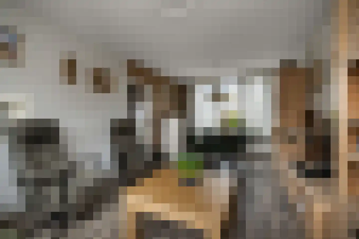 Zwaluwstraat 8 Wormerveer thumbnail 6