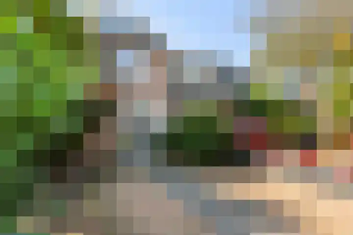 Zwaluwstraat 81 Ermelo thumbnail 4