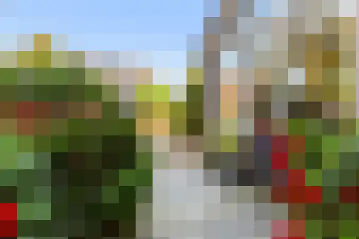 Zwaluwstraat 81 Ermelo thumbnail 5