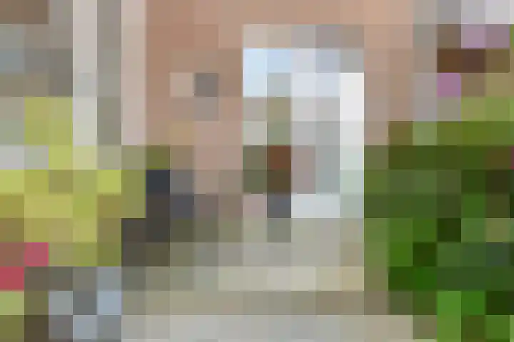 Zwaluwstraat 81 Ermelo thumbnail 6