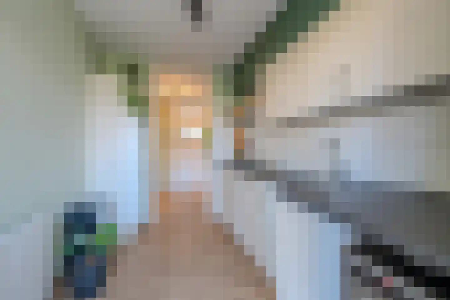 Zwaluwstraat 81 Horst thumbnail 12