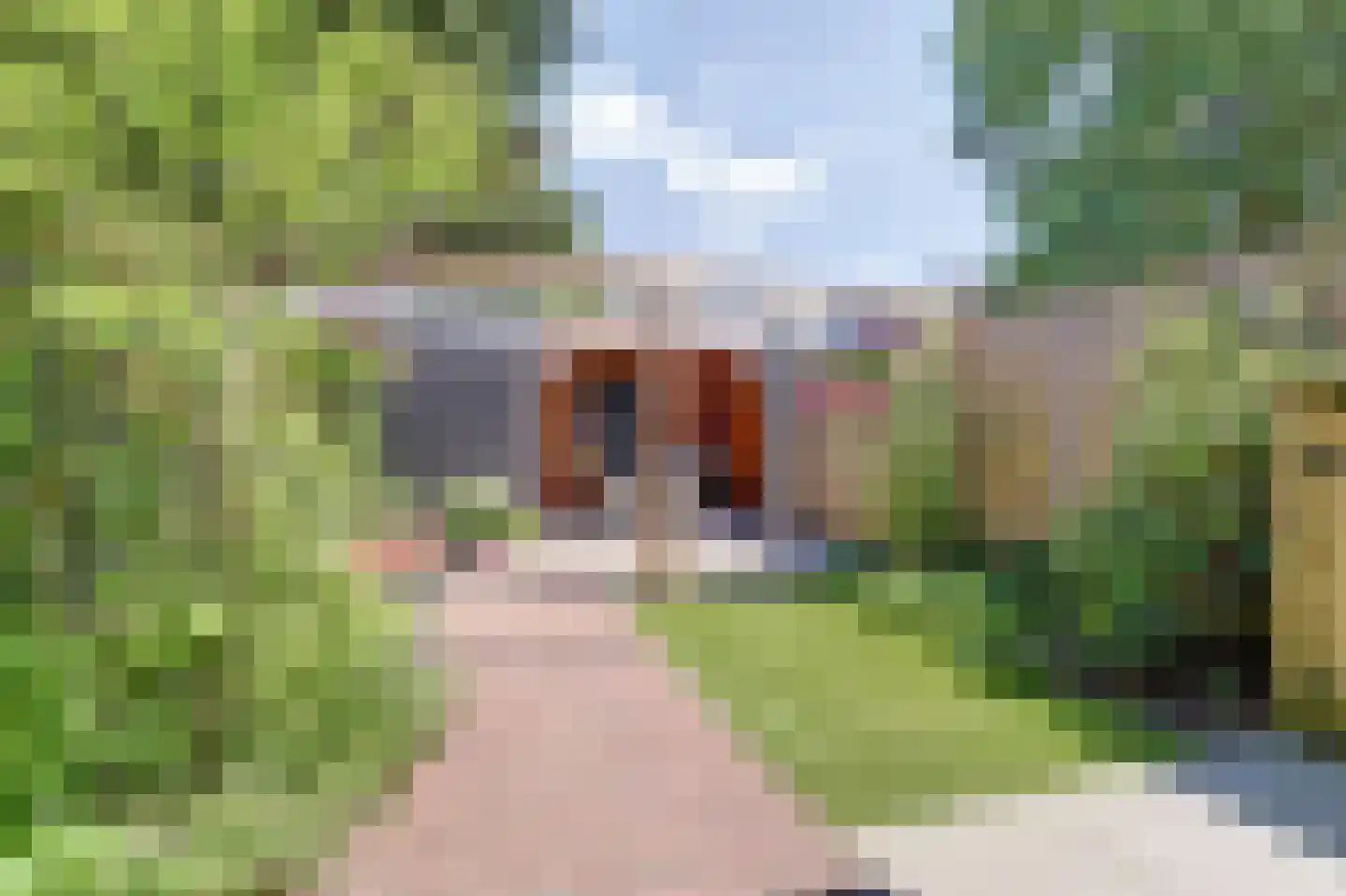 Zwaluwstraat 88 Ermelo thumbnail 36