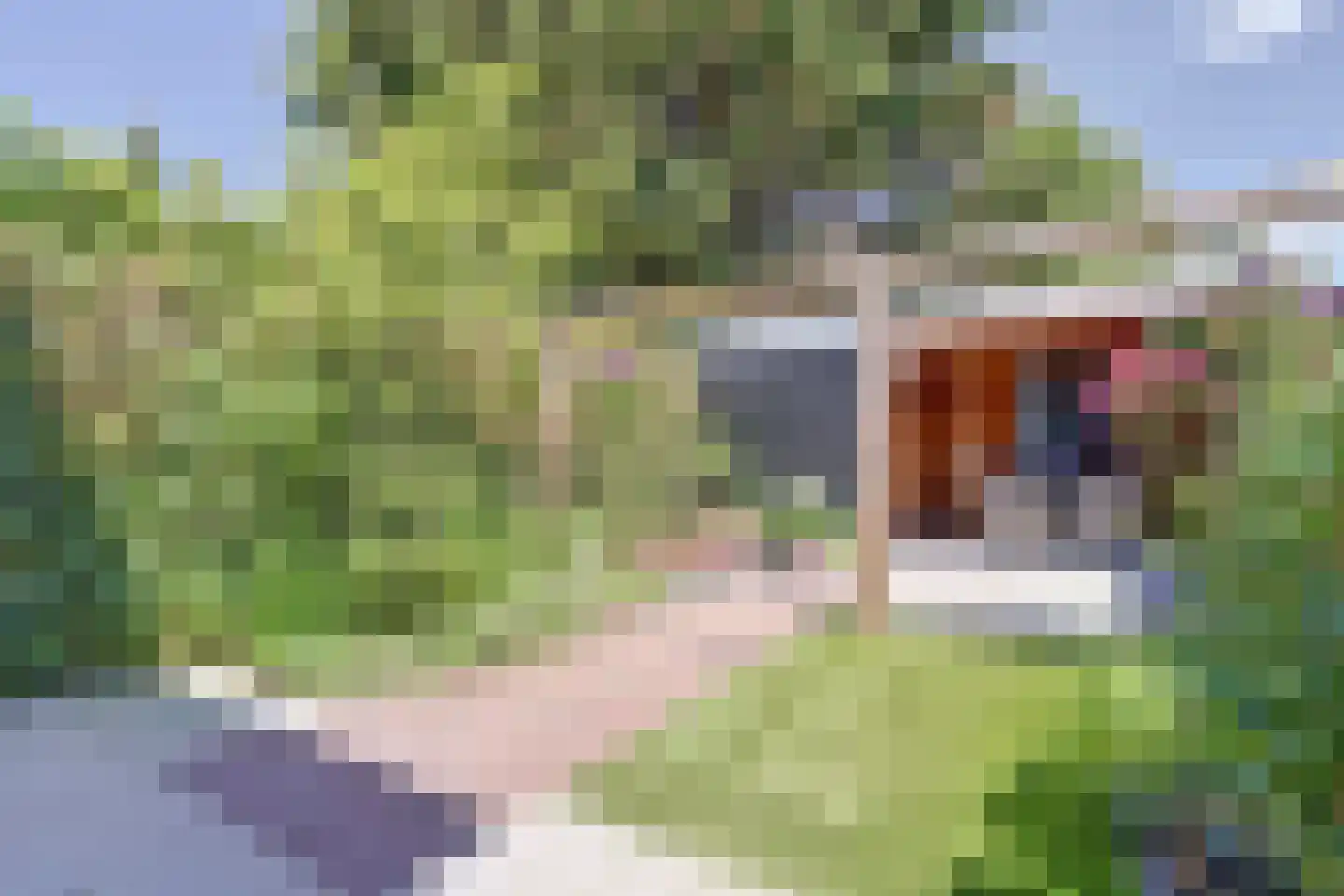 Zwaluwstraat 88 Ermelo thumbnail 5