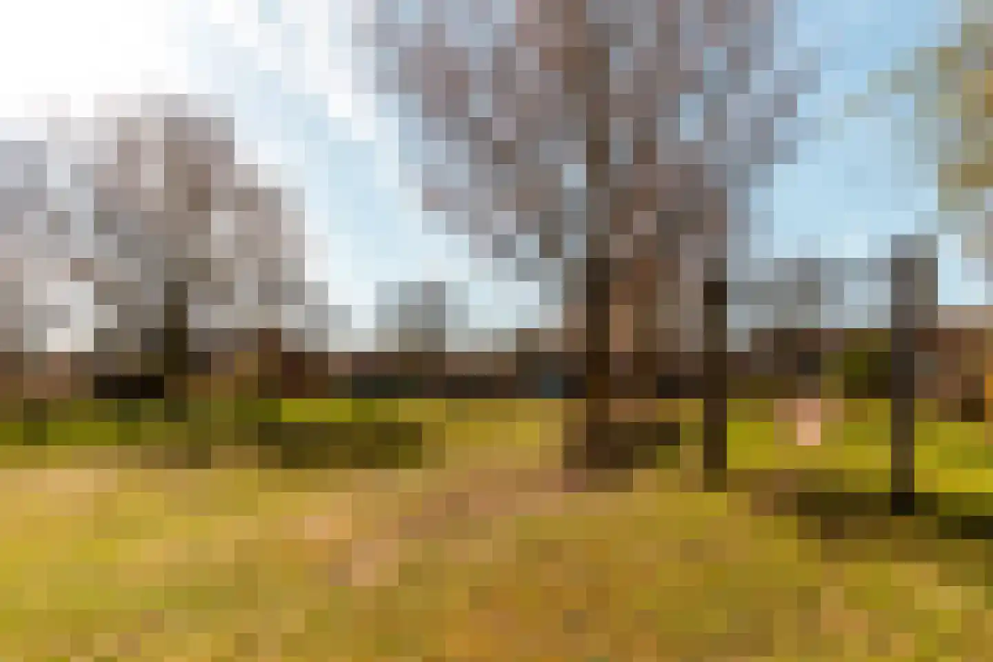 Zwaluwstraat 89 Ermelo thumbnail 35