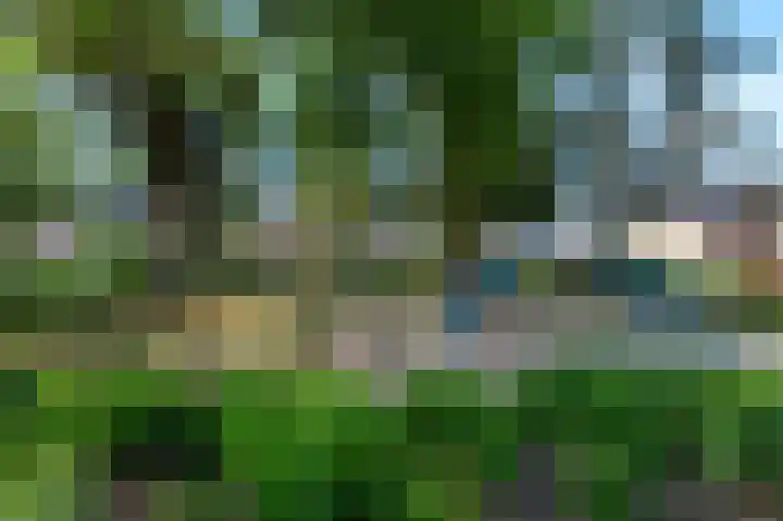 Zwaluwstraat 9 Goor thumbnail 31