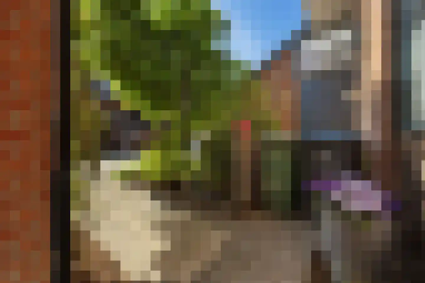Zwaluwstraat 9 Nijmegen thumbnail 17