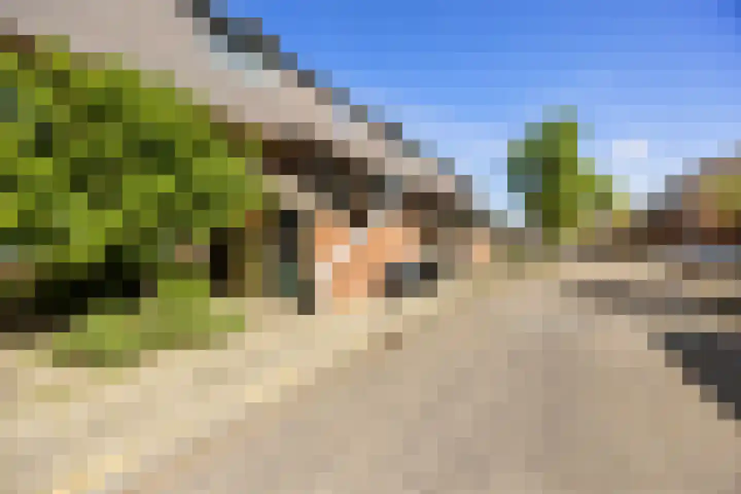 Zwaluwstraat 9 Nijmegen thumbnail 19