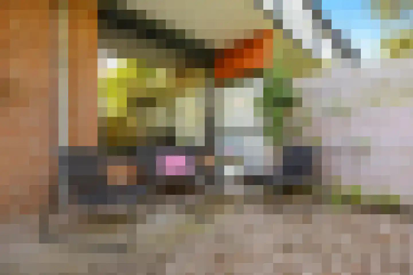 Zwaluwstraat 9 Nijmegen thumbnail 22