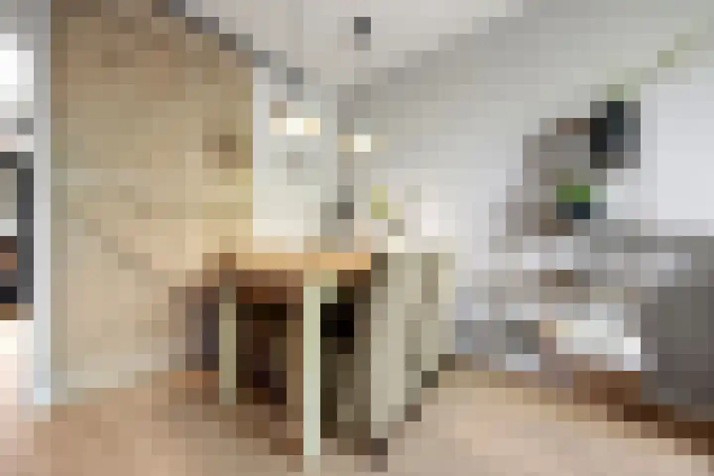 Zwaluwstraat 9 Nijmegen thumbnail 5