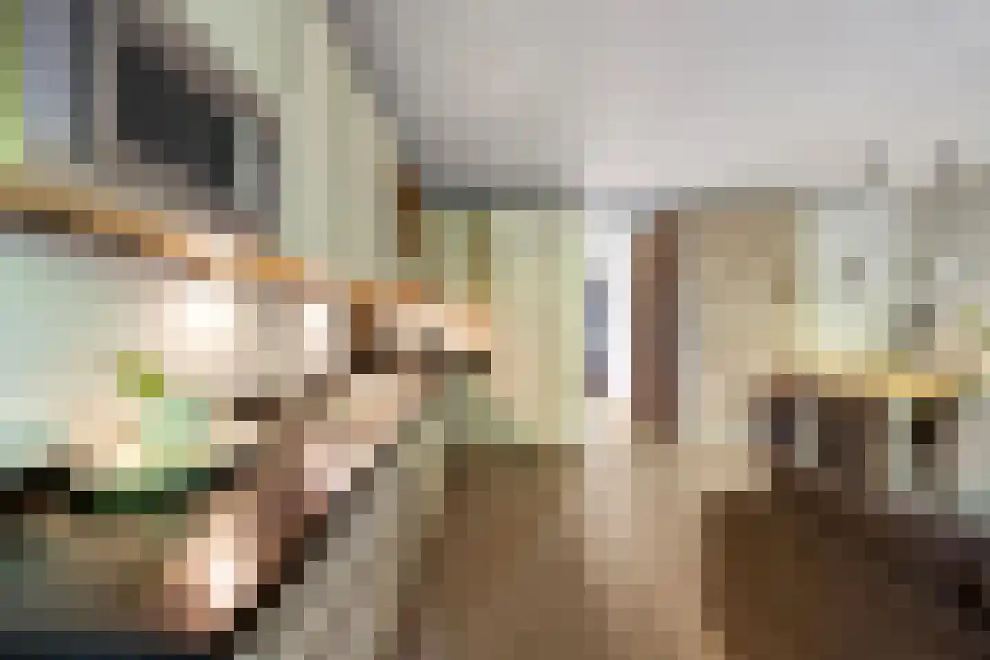 Zwaluwstraat 9 Nijmegen thumbnail 9