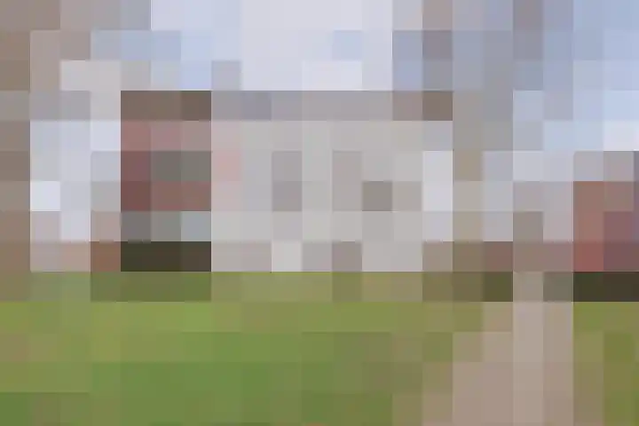 Zwaluwstraat 93 Horst thumbnail 7
