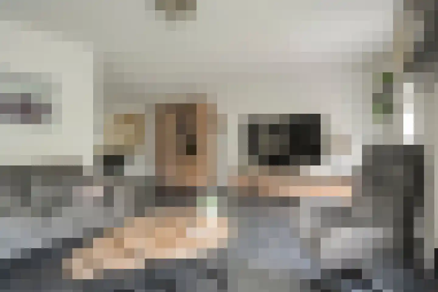 Zwaluwtong 1 Nijverdal thumbnail 10