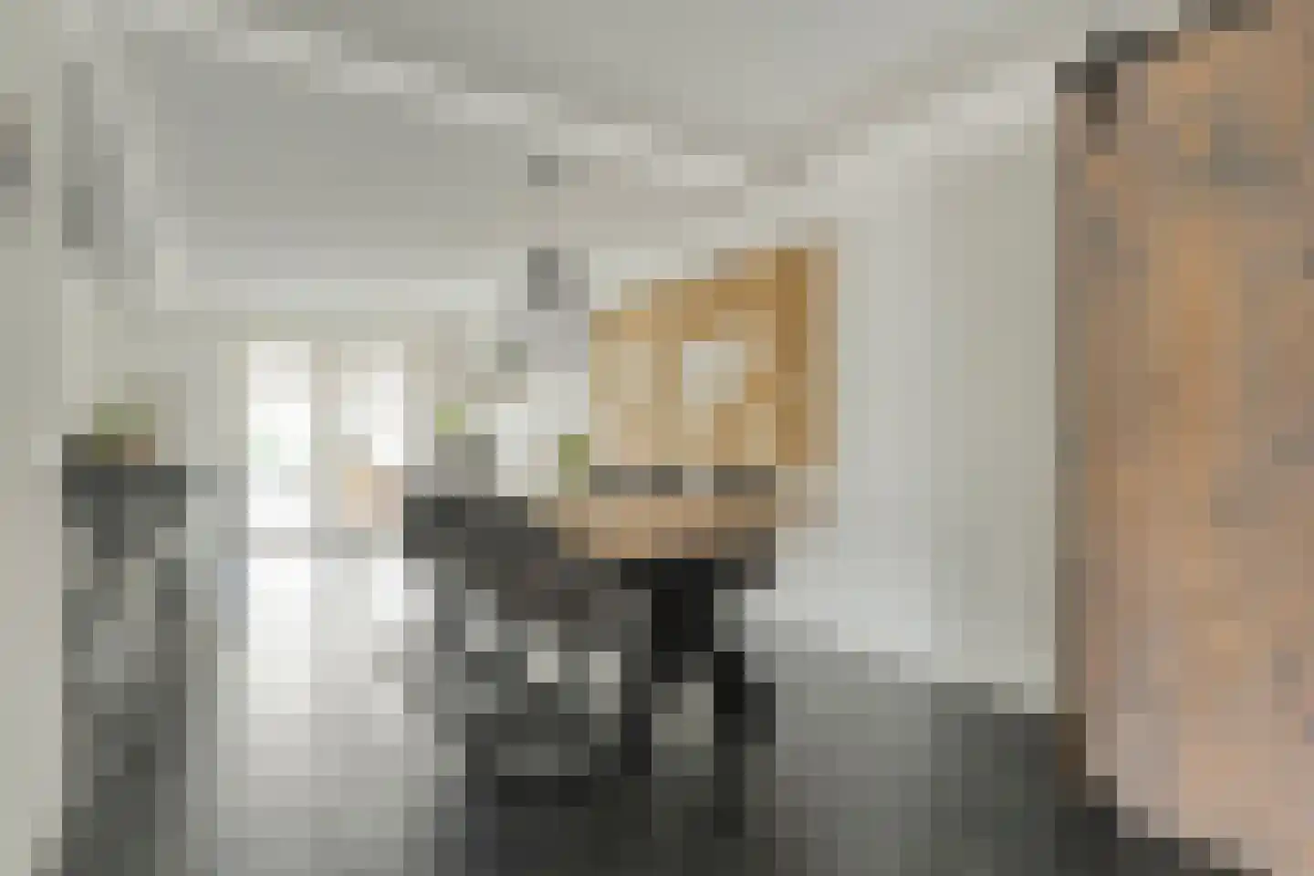 Zwaluwtong 1 Nijverdal thumbnail 12
