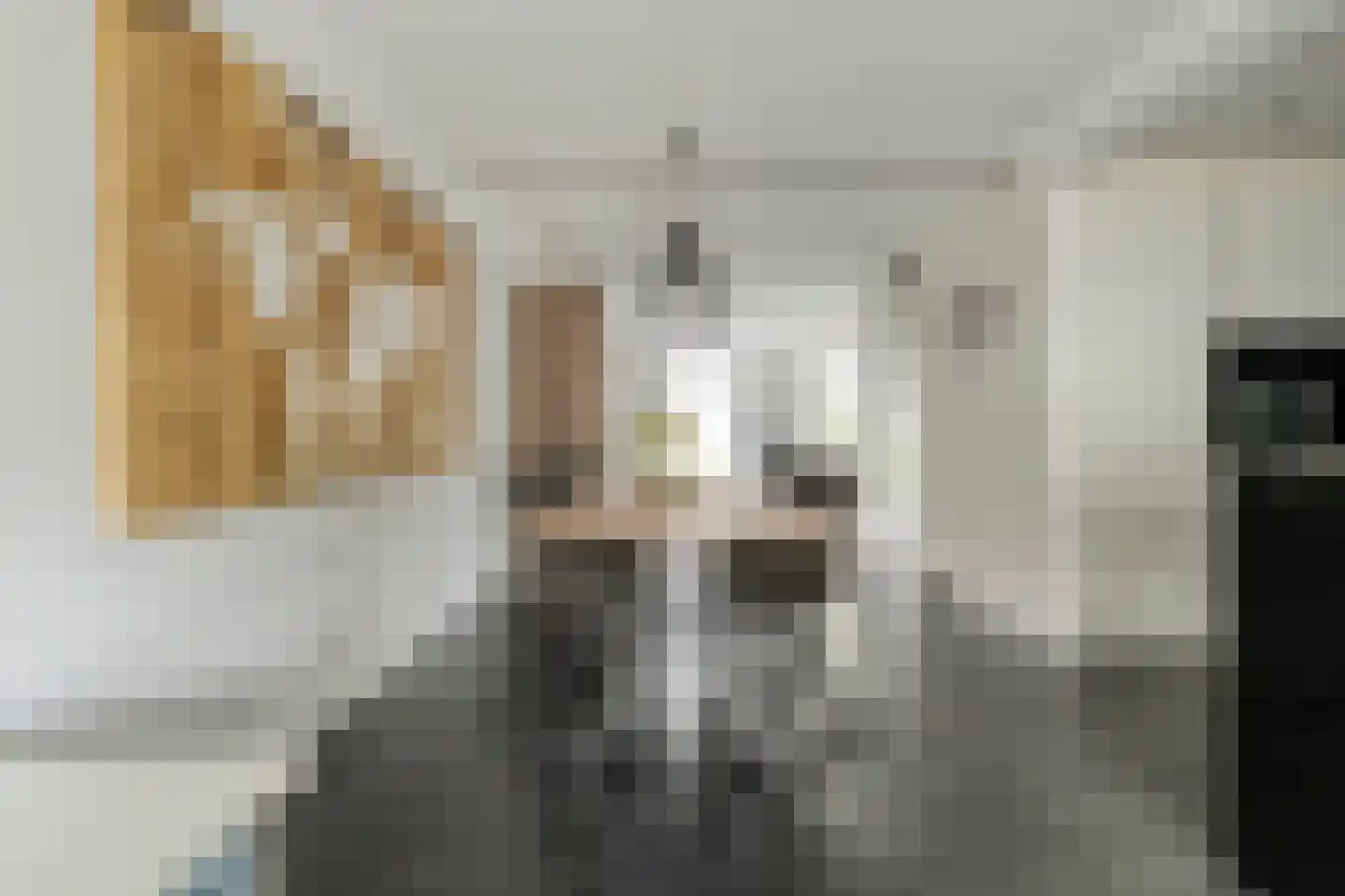 Zwaluwtong 1 Nijverdal thumbnail 13