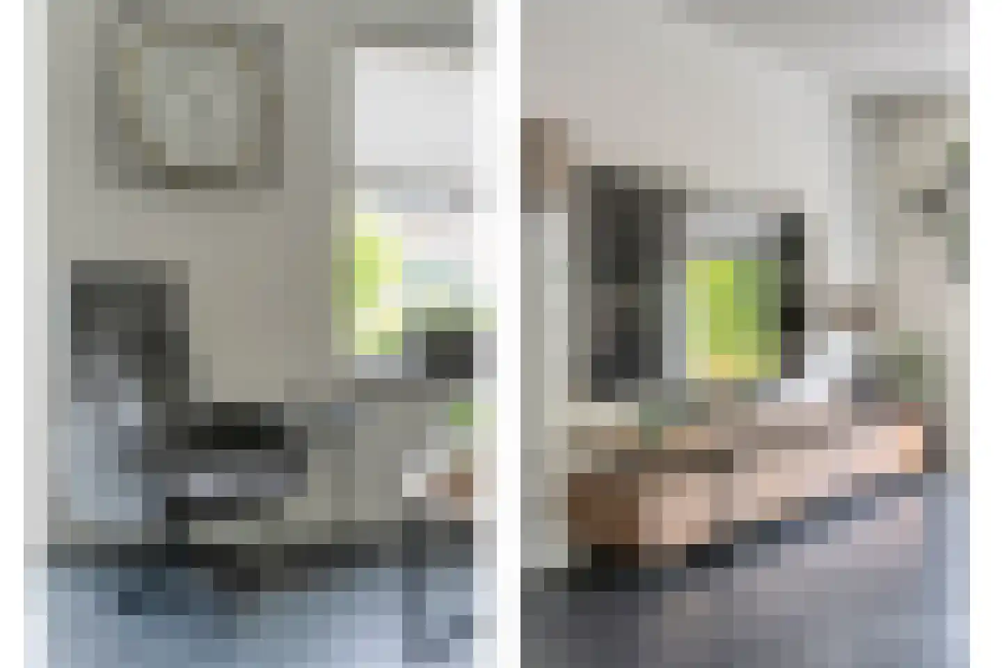 Zwaluwtong 1 Nijverdal thumbnail 14